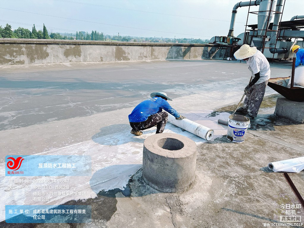 上海康福来药业集团有限公司前提车间、制剂车间厂房屋顶防水施工